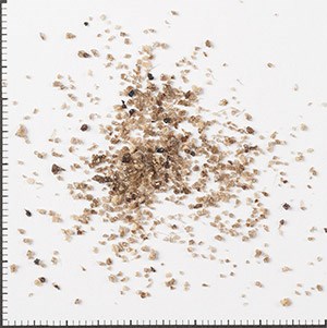 Fescon oy hiekkapojat granuuli voimalaitoshiekka skaala