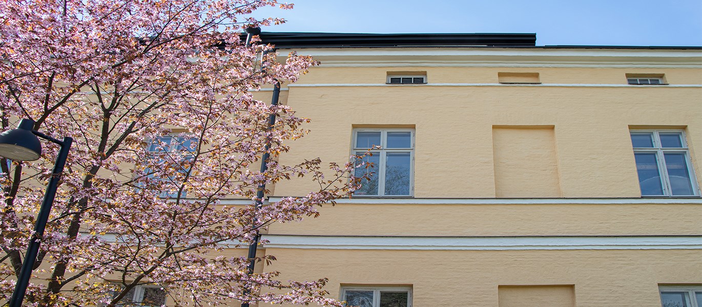 Lapinlahden sairaala Helsinki