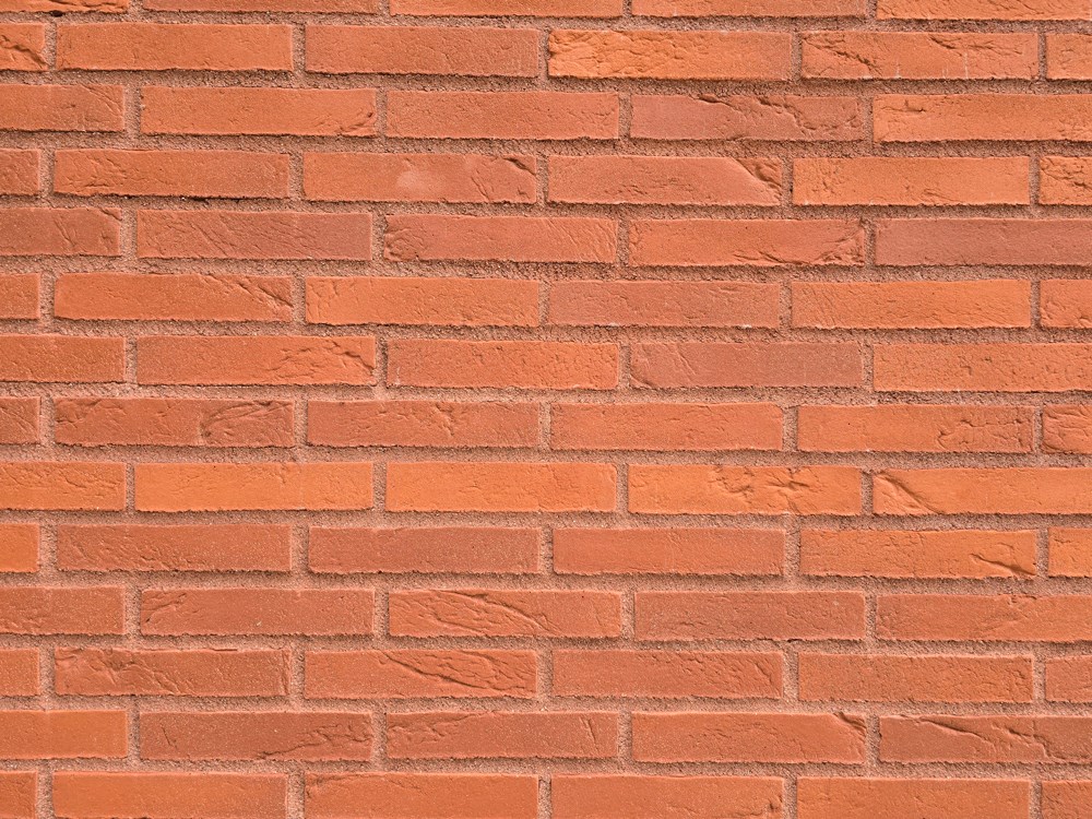 Muurauslaasti metso Fescon